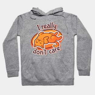 I really don't care Hoodie